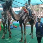 Camel visit in school